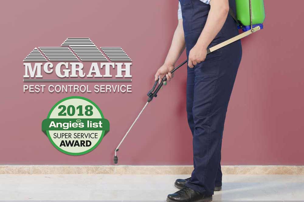 Conroe Pest Control Service – McGrath Pest Control